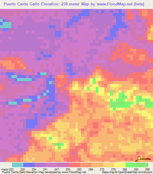 Puerto Canta Gallo,Peru Elevation Map