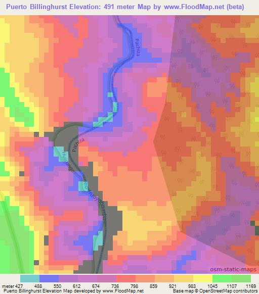 Puerto Billinghurst,Peru Elevation Map