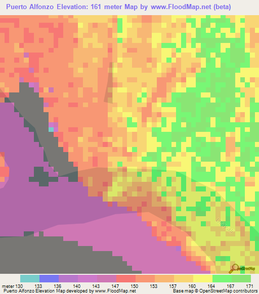 Puerto Alfonzo,Peru Elevation Map