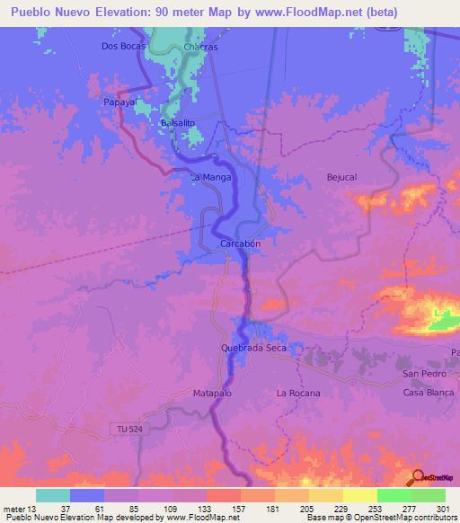 Pueblo Nuevo,Peru Elevation Map