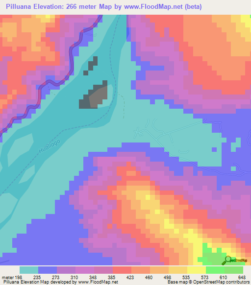 Pilluana,Peru Elevation Map