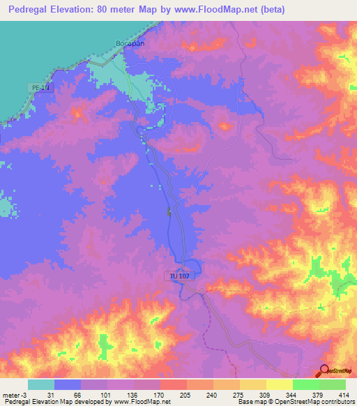 Pedregal,Peru Elevation Map