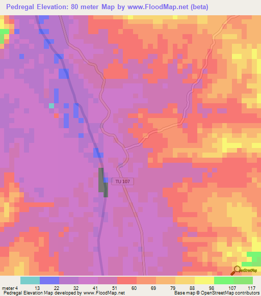 Pedregal,Peru Elevation Map