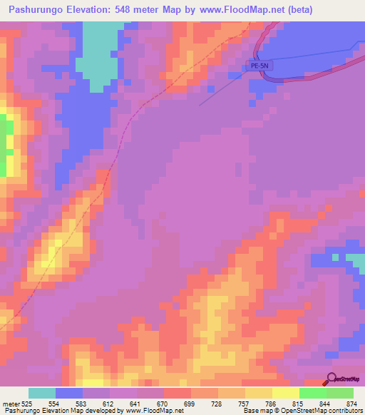 Pashurungo,Peru Elevation Map