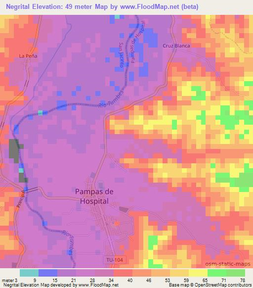 Negrital,Peru Elevation Map