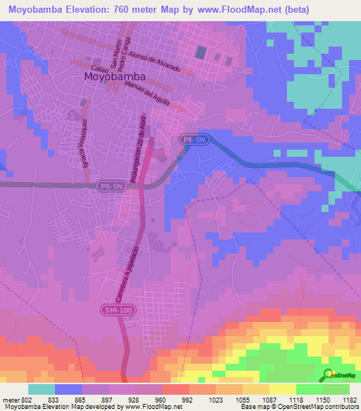 Moyobamba,Peru Elevation Map