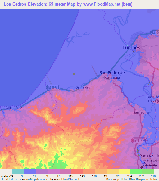 Los Cedros,Peru Elevation Map