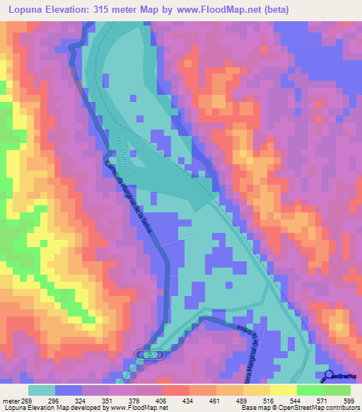 Lopuna,Peru Elevation Map