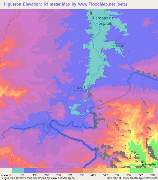 Higueron,Peru Elevation Map