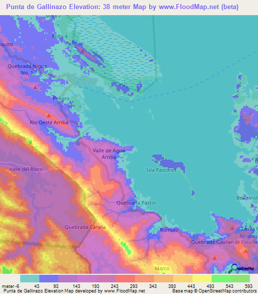 Punta de Gallinazo,Panama Elevation Map