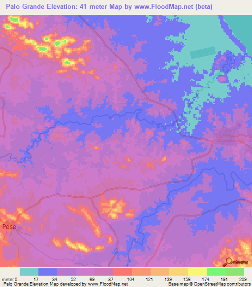 Palo Grande,Panama Elevation Map