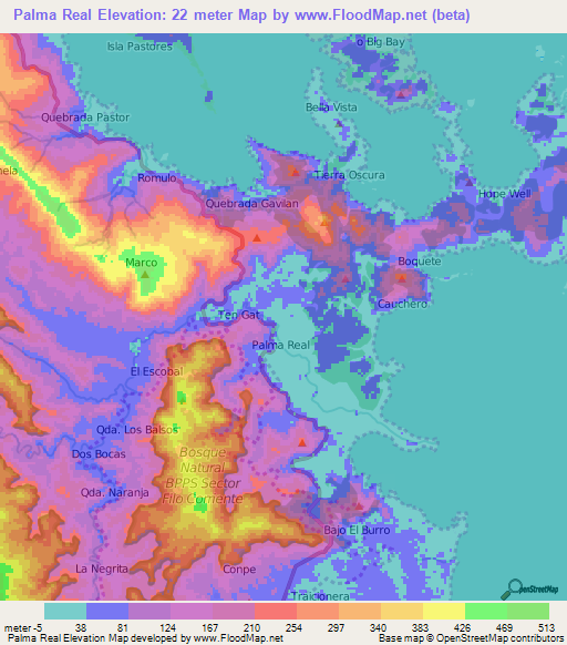 Palma Real,Panama Elevation Map