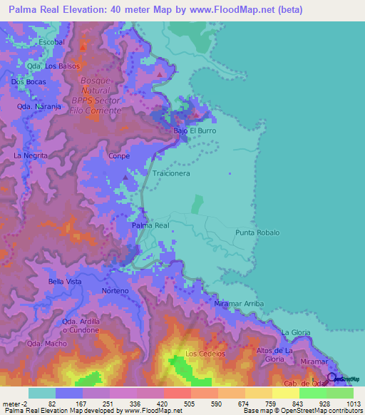 Palma Real,Panama Elevation Map