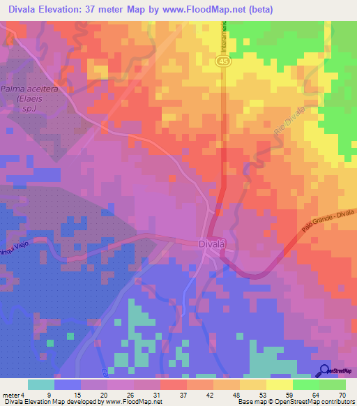 Divala,Panama Elevation Map