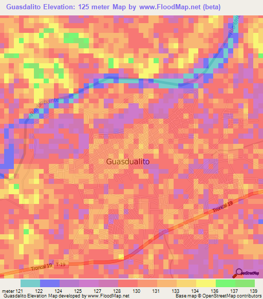 Guasdalito,Venezuela Elevation Map