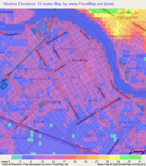 Viedma,Argentina Elevation Map