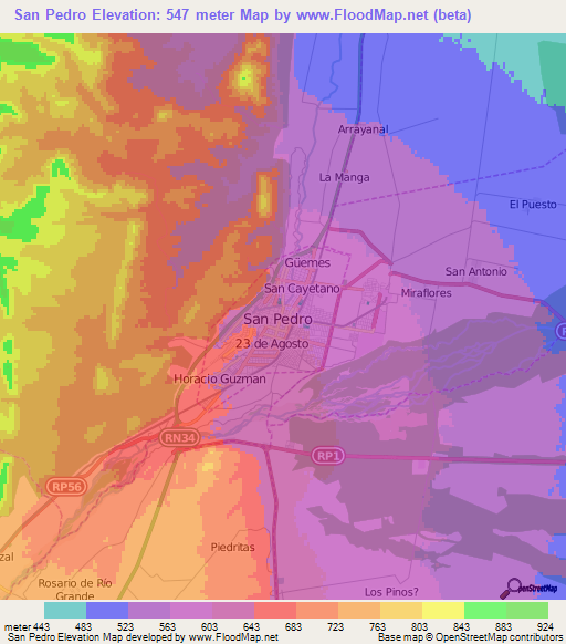 San Pedro,Argentina Elevation Map