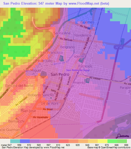 San Pedro,Argentina Elevation Map