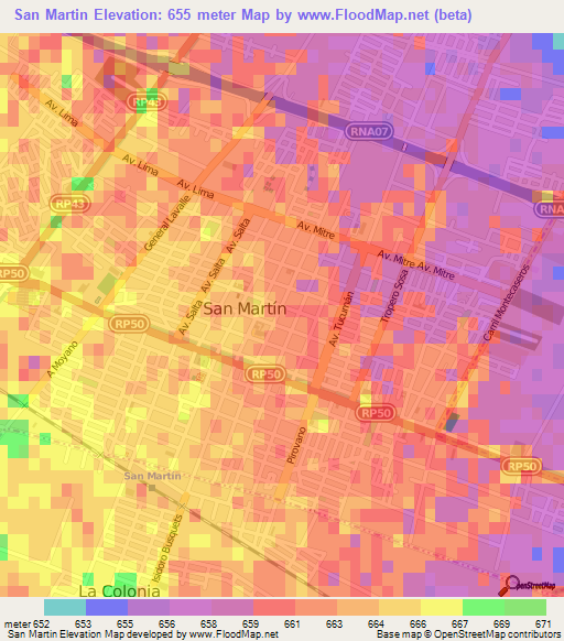 San Martin,Argentina Elevation Map