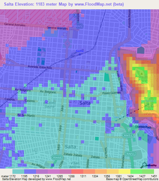 Salta,Argentina Elevation Map
