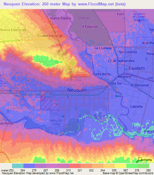 Neuquen,Argentina Elevation Map