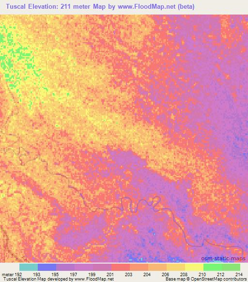 Tuscal,Paraguay Elevation Map