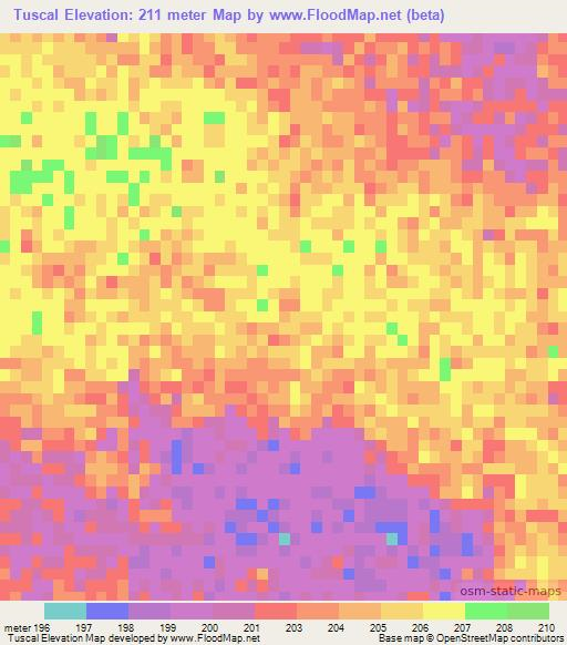 Tuscal,Paraguay Elevation Map