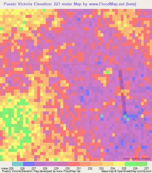 Puesto Victoria,Paraguay Elevation Map