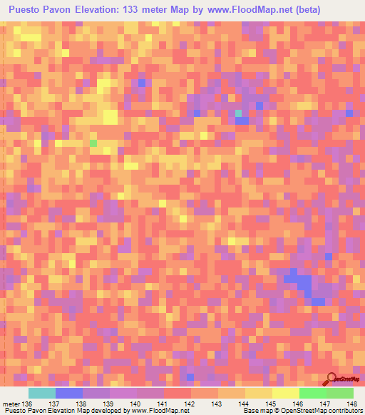 Puesto Pavon,Paraguay Elevation Map