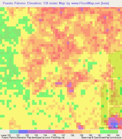 Puesto Palomo,Paraguay Elevation Map