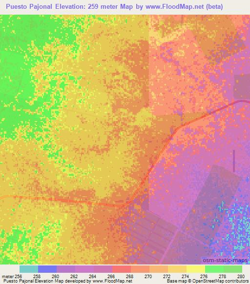 Puesto Pajonal,Paraguay Elevation Map