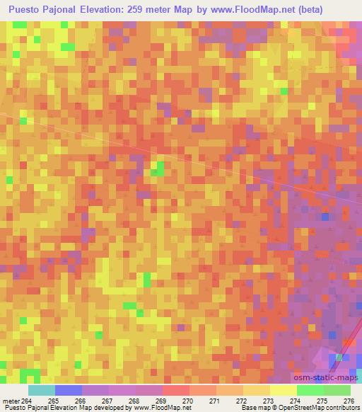 Puesto Pajonal,Paraguay Elevation Map