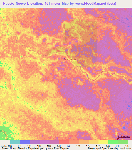 Puesto Nuevo,Paraguay Elevation Map