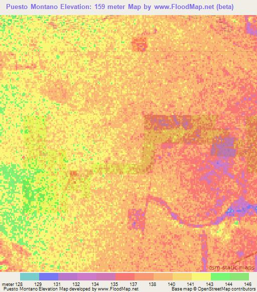 Puesto Montano,Paraguay Elevation Map