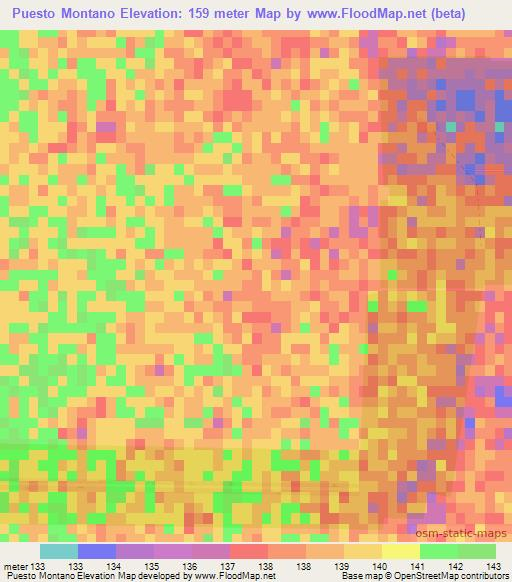 Puesto Montano,Paraguay Elevation Map