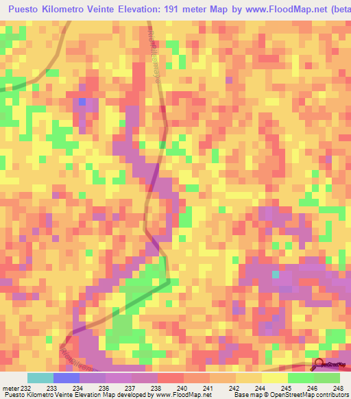 Puesto Kilometro Veinte,Paraguay Elevation Map