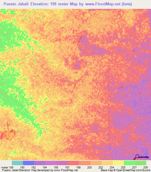 Puesto Jabali,Paraguay Elevation Map