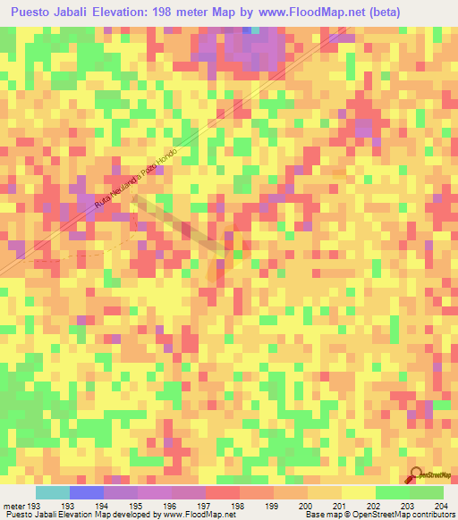 Puesto Jabali,Paraguay Elevation Map