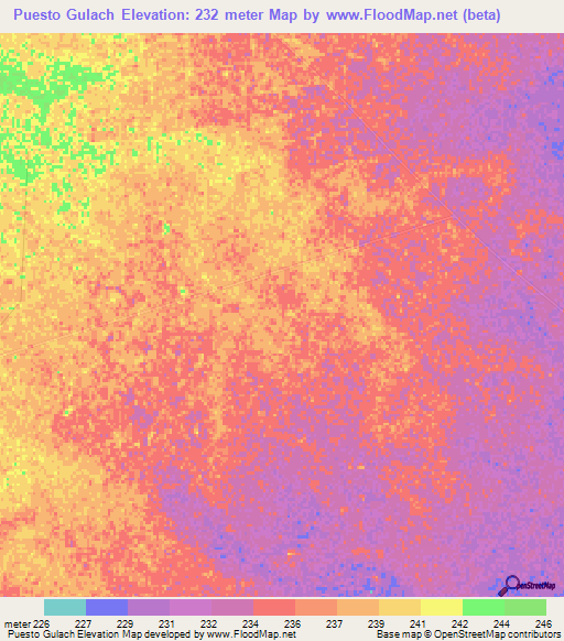 Puesto Gulach,Paraguay Elevation Map