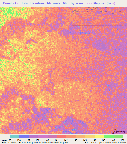 Puesto Cordoba,Paraguay Elevation Map
