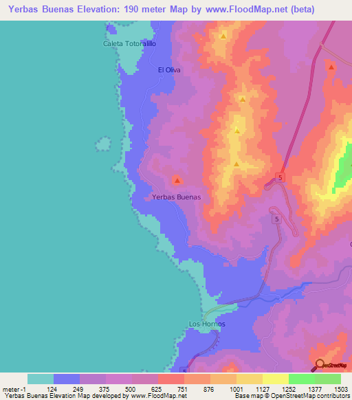 Yerbas Buenas,Chile Elevation Map
