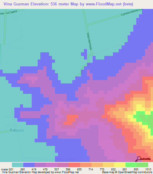 Vina Guzman,Chile Elevation Map