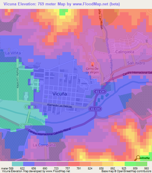 Vicuna,Chile Elevation Map