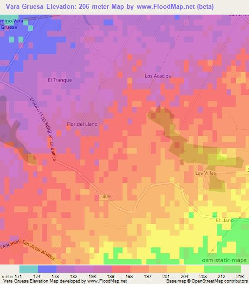 Vara Gruesa,Chile Elevation Map