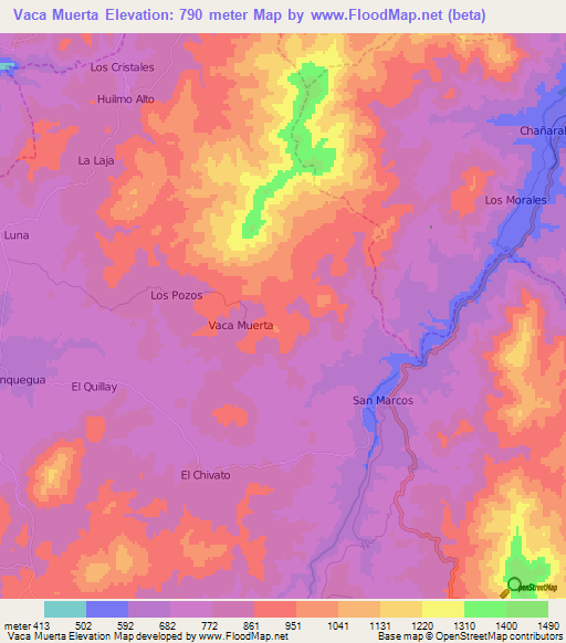 Vaca Muerta,Chile Elevation Map