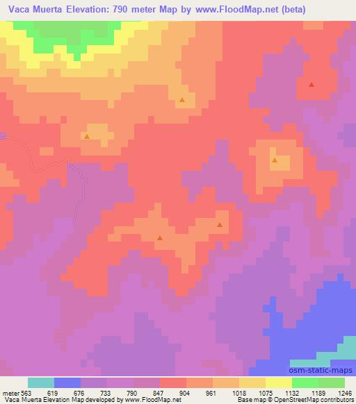 Vaca Muerta,Chile Elevation Map