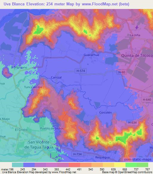 Uva Blanca,Chile Elevation Map