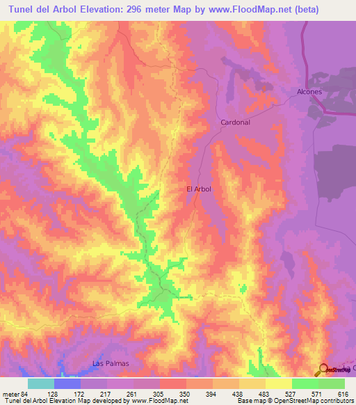 Tunel del Arbol,Chile Elevation Map