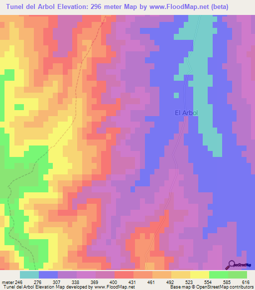 Tunel del Arbol,Chile Elevation Map