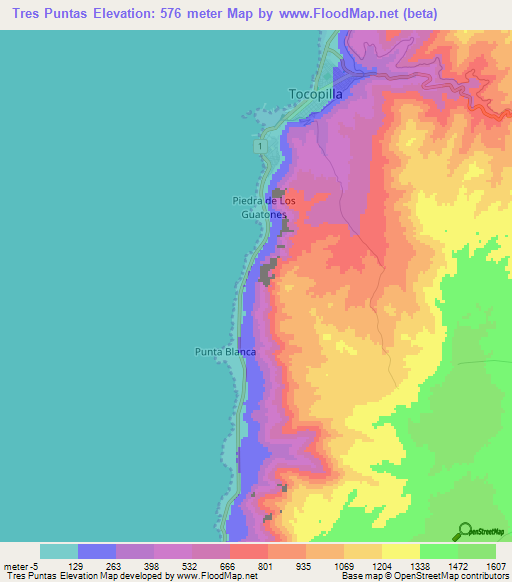 Tres Puntas,Chile Elevation Map